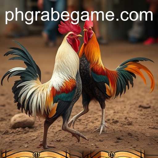 The Cultural and Controversial World of Cockfighting